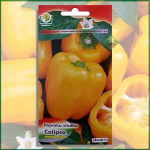 Papryka `Calipso` Papryka `Calipso`