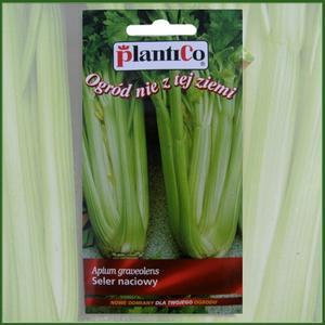 Seler naciowy `Zefir`